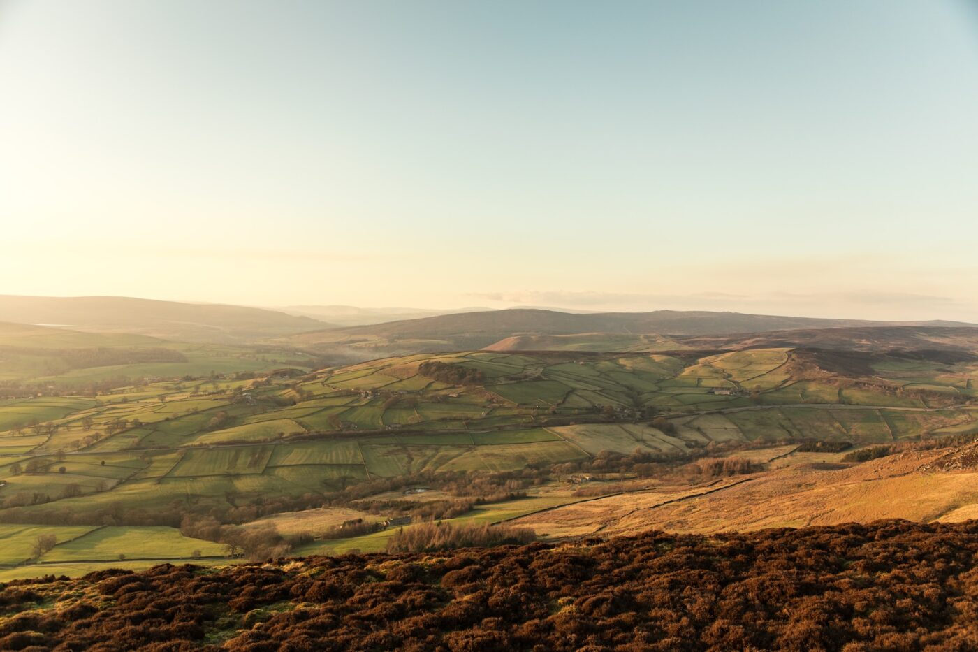 Yorkshire Fields