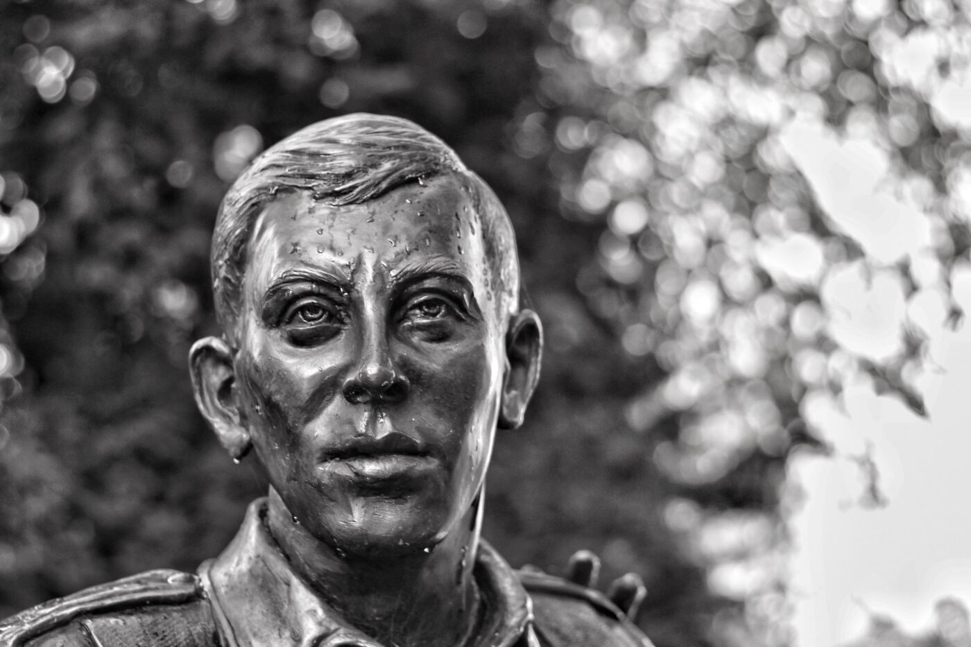 Remembrance soldier, Reading