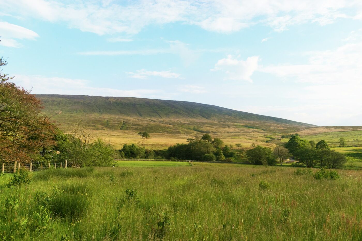Forest of Bowland